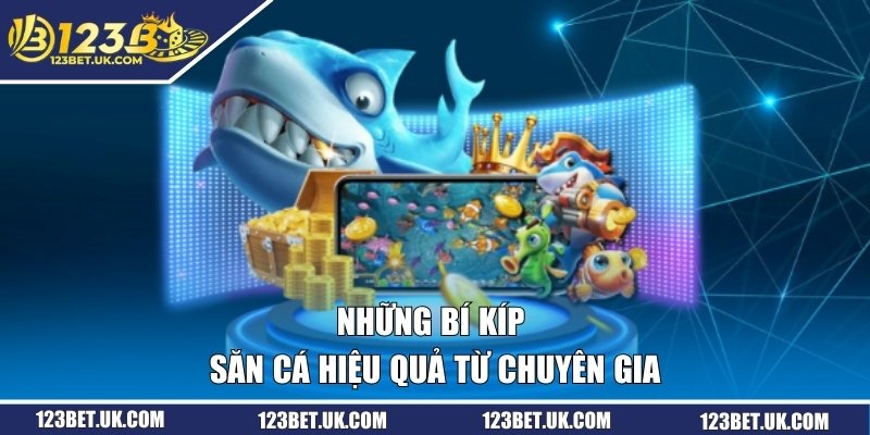 Những bí kíp săn cá hiệu quả từ chuyên gia